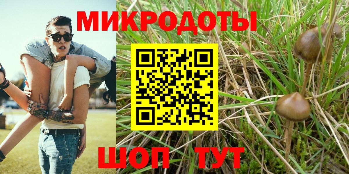 Отрадное  Галлюциногенные грибы Cubensis  Вход с VPN 